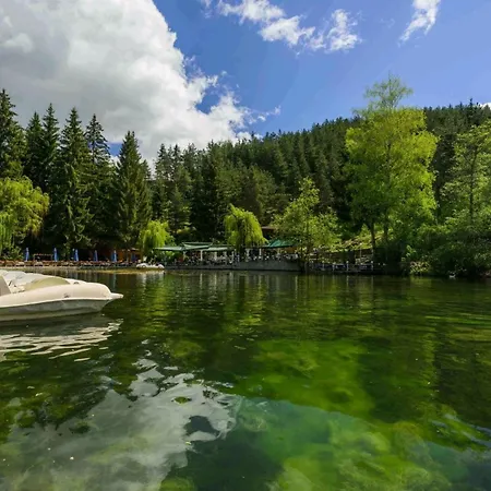 Veliapartmets Welingrad