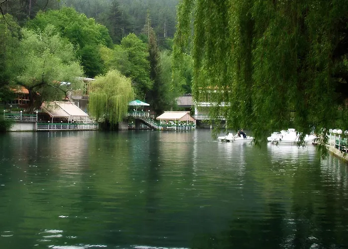 Veliapartmets * ヴェリングラード